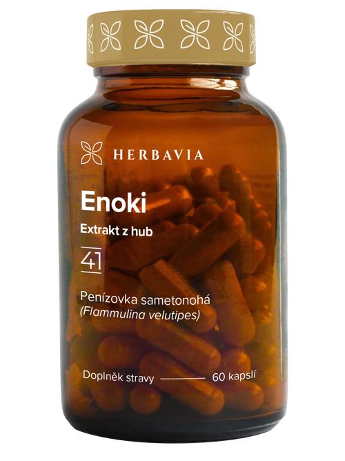 Enoki extrakt z hub - 60 kapslí