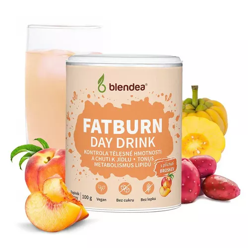 Fatburn Day Drink 100 g